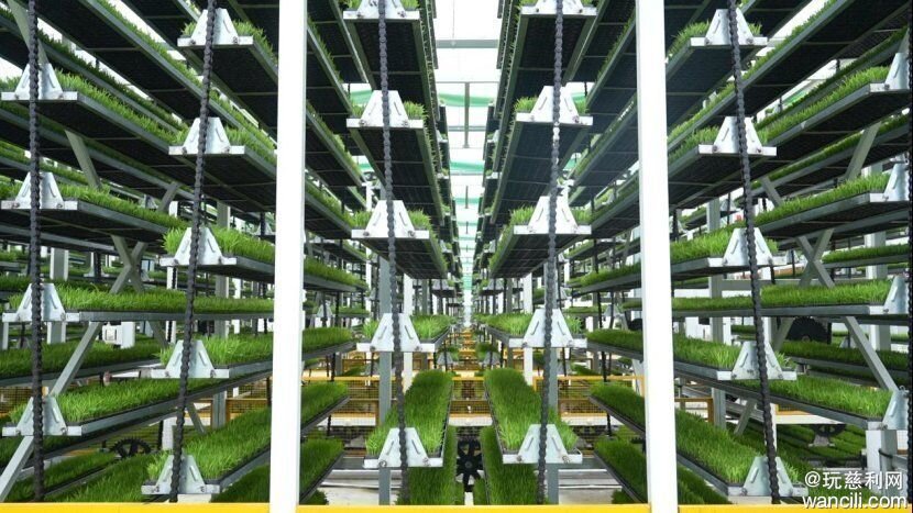 640?wx_fmt=png&from=appmsg&tp=wxpic&wxfrom=5&wx_lazy=1#imgIndex=2