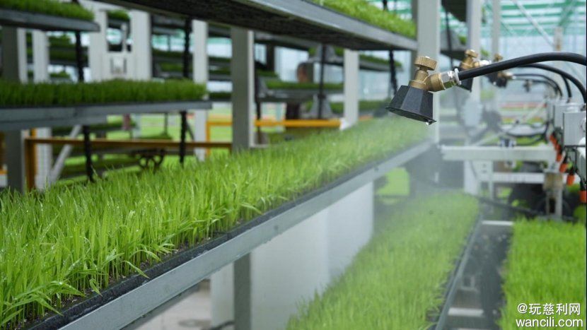 640?wx_fmt=png&from=appmsg&tp=wxpic&wxfrom=5&wx_lazy=1#imgIndex=3