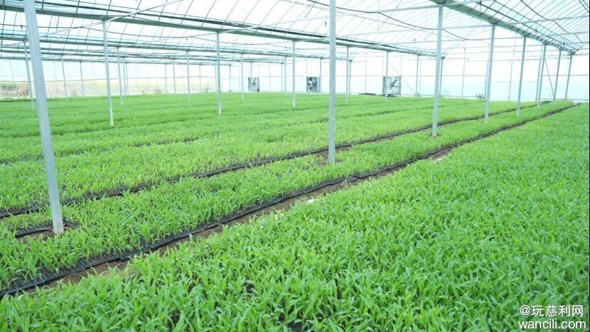 640?wx_fmt=png&from=appmsg&tp=wxpic&wxfrom=5&wx_lazy=1#imgIndex=5