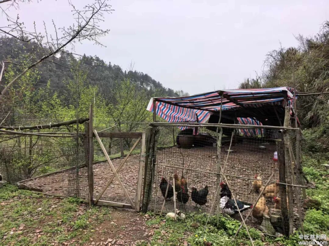 640?wx_fmt=jpeg&wxfrom=13&tp=wxpic#imgIndex=2