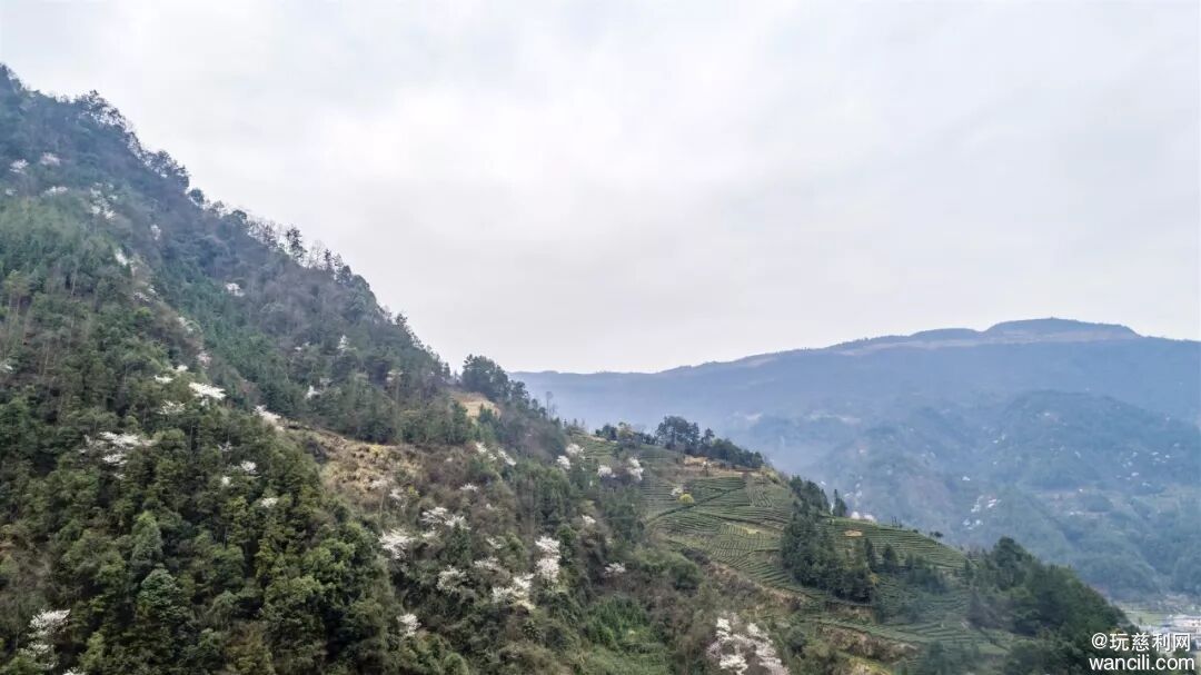 640?wx_fmt=jpeg&tp=wxpic&wxfrom=5&wx_lazy=1#imgIndex=4