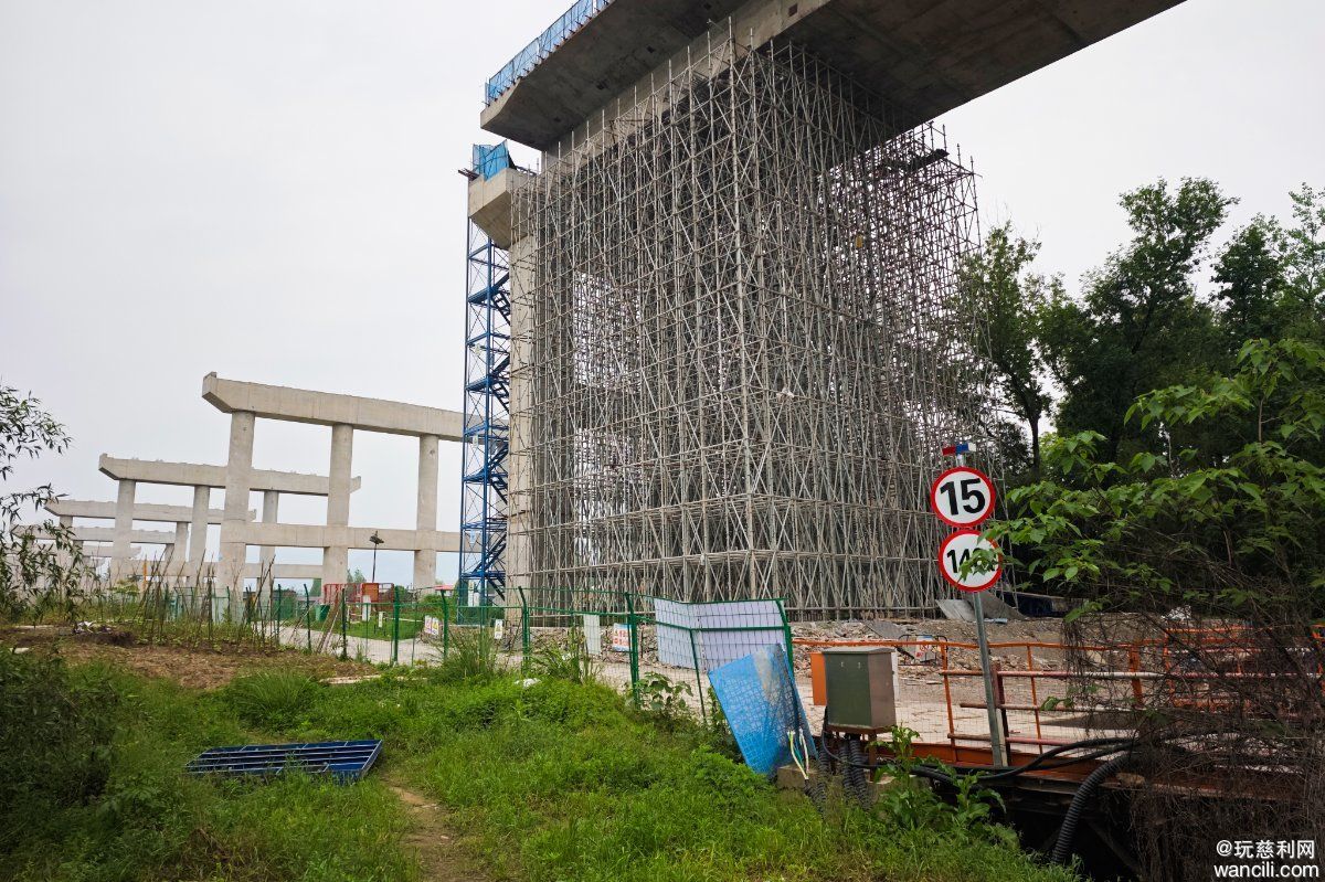 琵琶洲大桥建设现场，如此密集的脚手架还是第一次看到