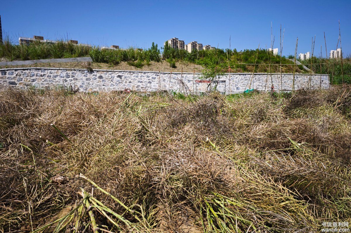 MVIMG_20260505_103140.jpg