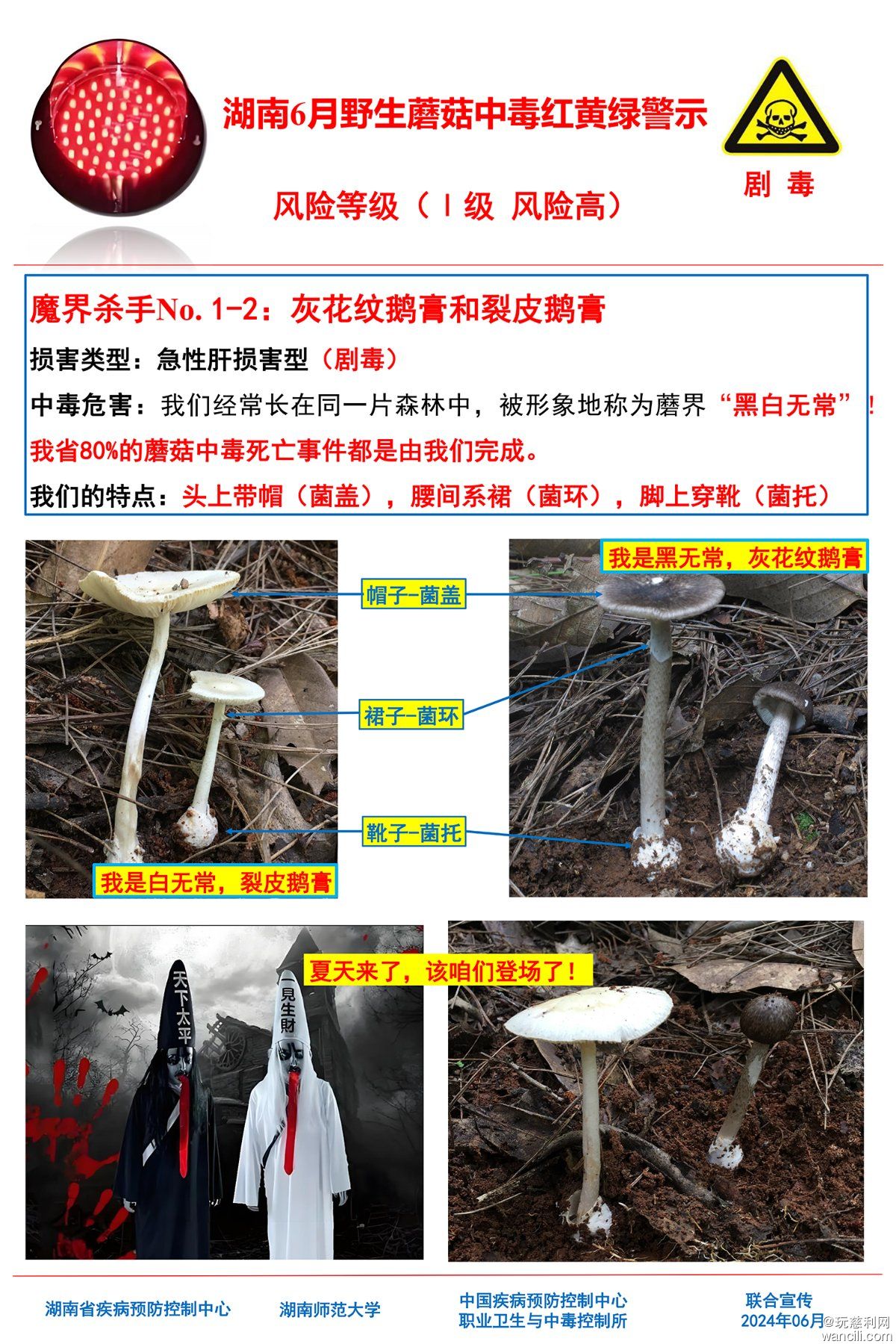湖南6月野生蘑菇中毒红黄绿警示(4)-1.jpg