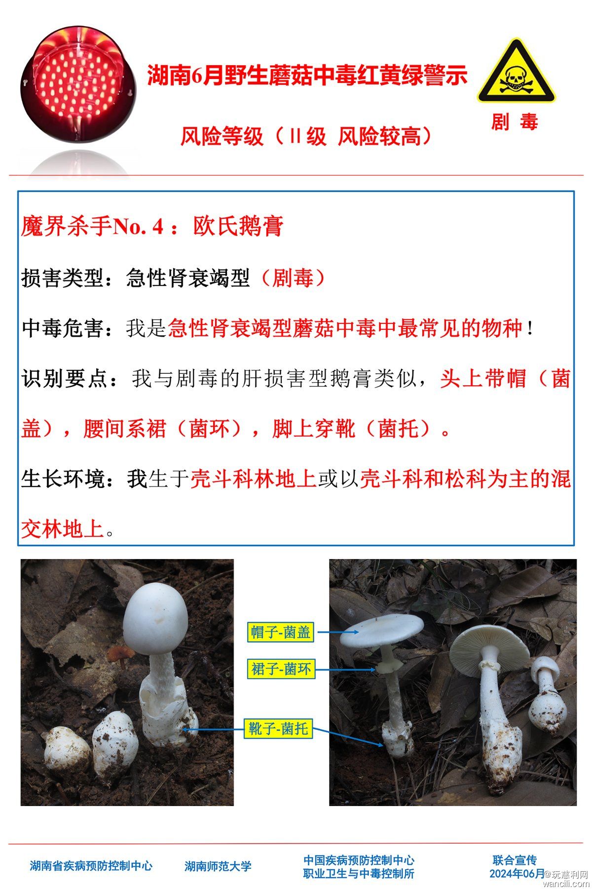 湖南6月野生蘑菇中毒红黄绿警示(4)-3.jpg