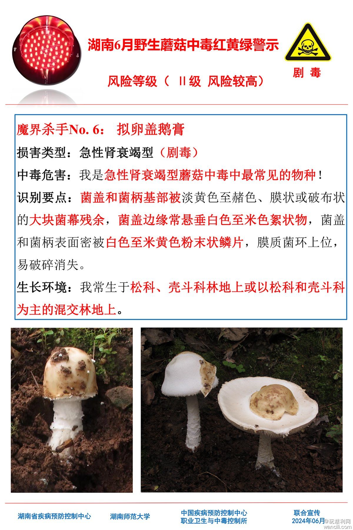 湖南6月野生蘑菇中毒红黄绿警示(4)-5.jpg