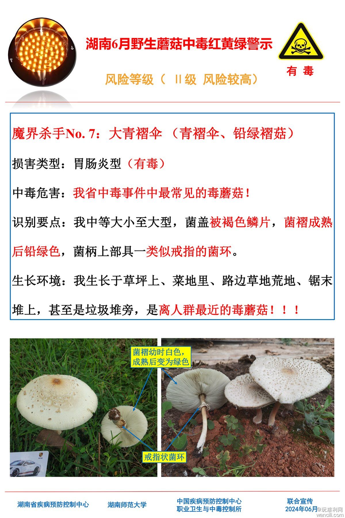 湖南6月野生蘑菇中毒红黄绿警示(4)-6.jpg