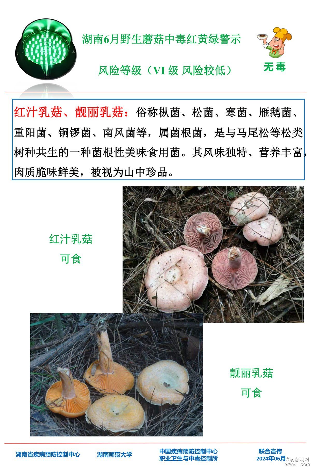湖南6月野生蘑菇中毒红黄绿警示(4)-10.jpg