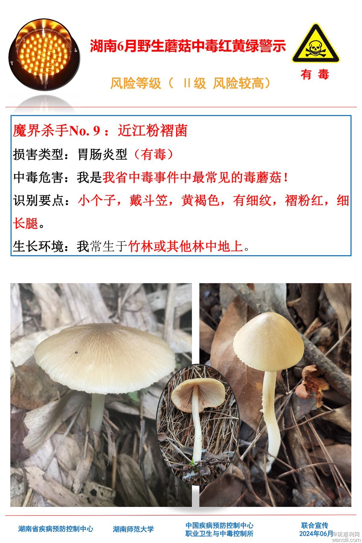 湖南6月野生蘑菇中毒红黄绿警示(4)-8.jpg