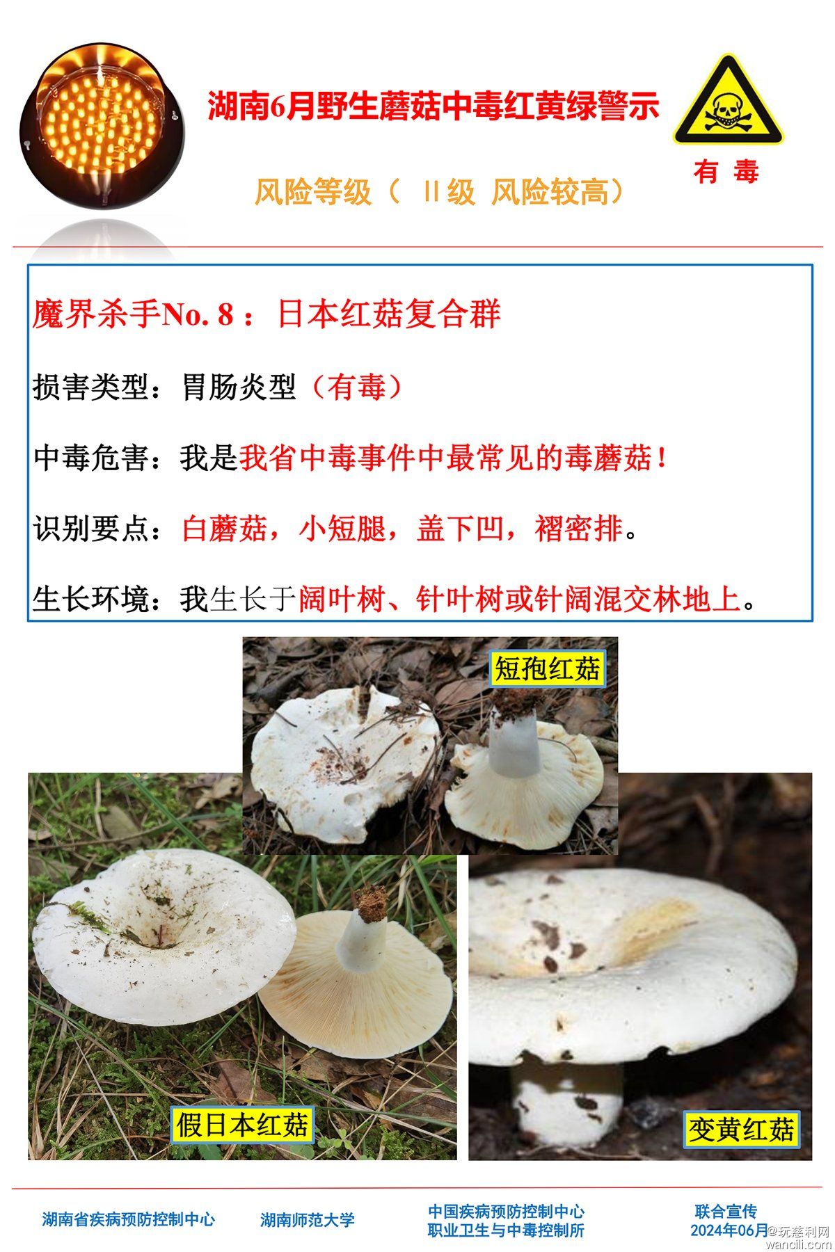 湖南6月野生蘑菇中毒红黄绿警示(4)-7.jpg