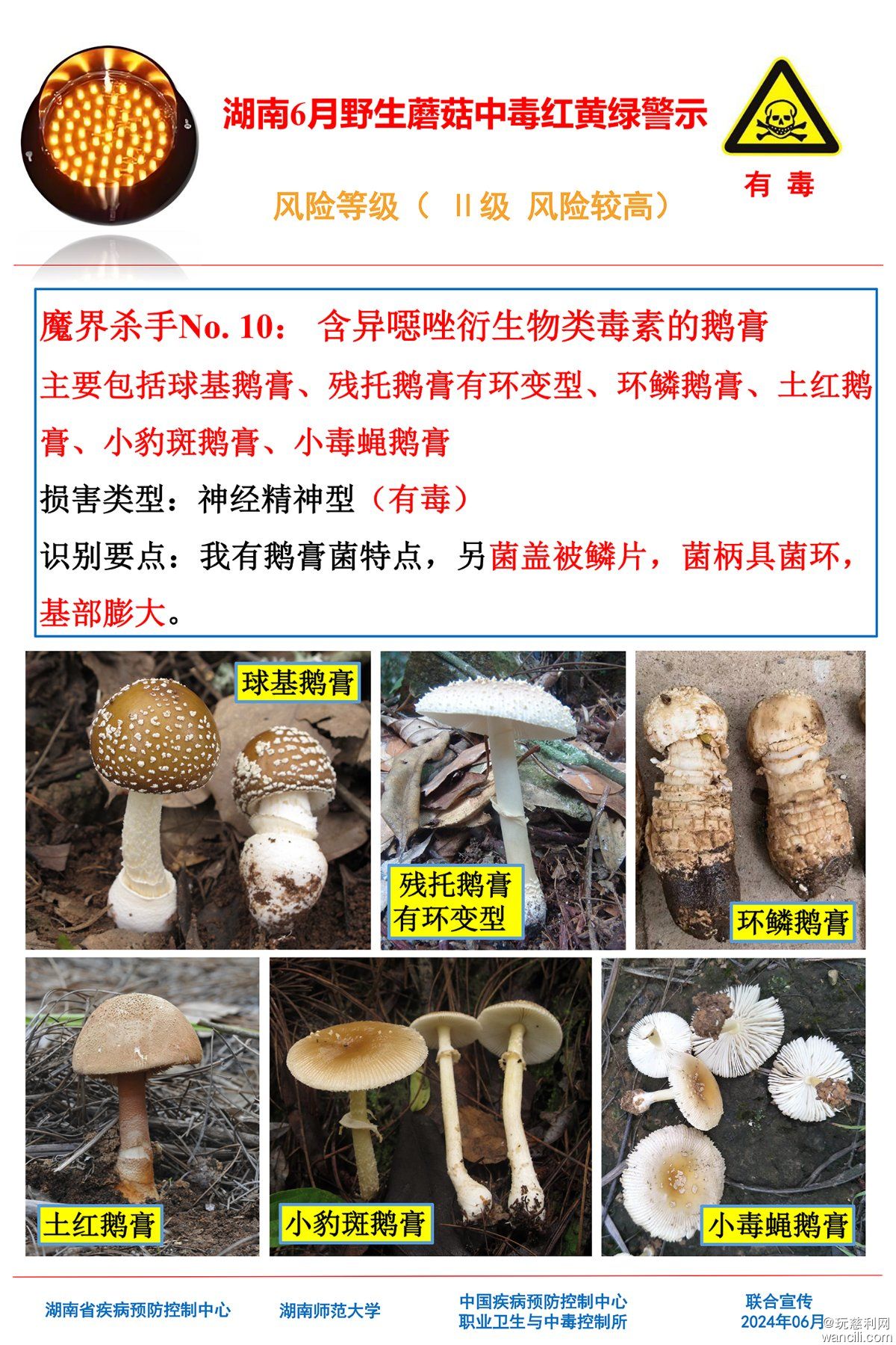 湖南6月野生蘑菇中毒红黄绿警示(4)-9.jpg