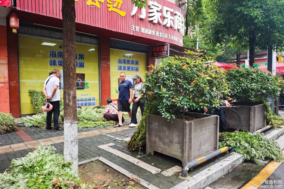 微信图片_20260619201722_65_77.jpg