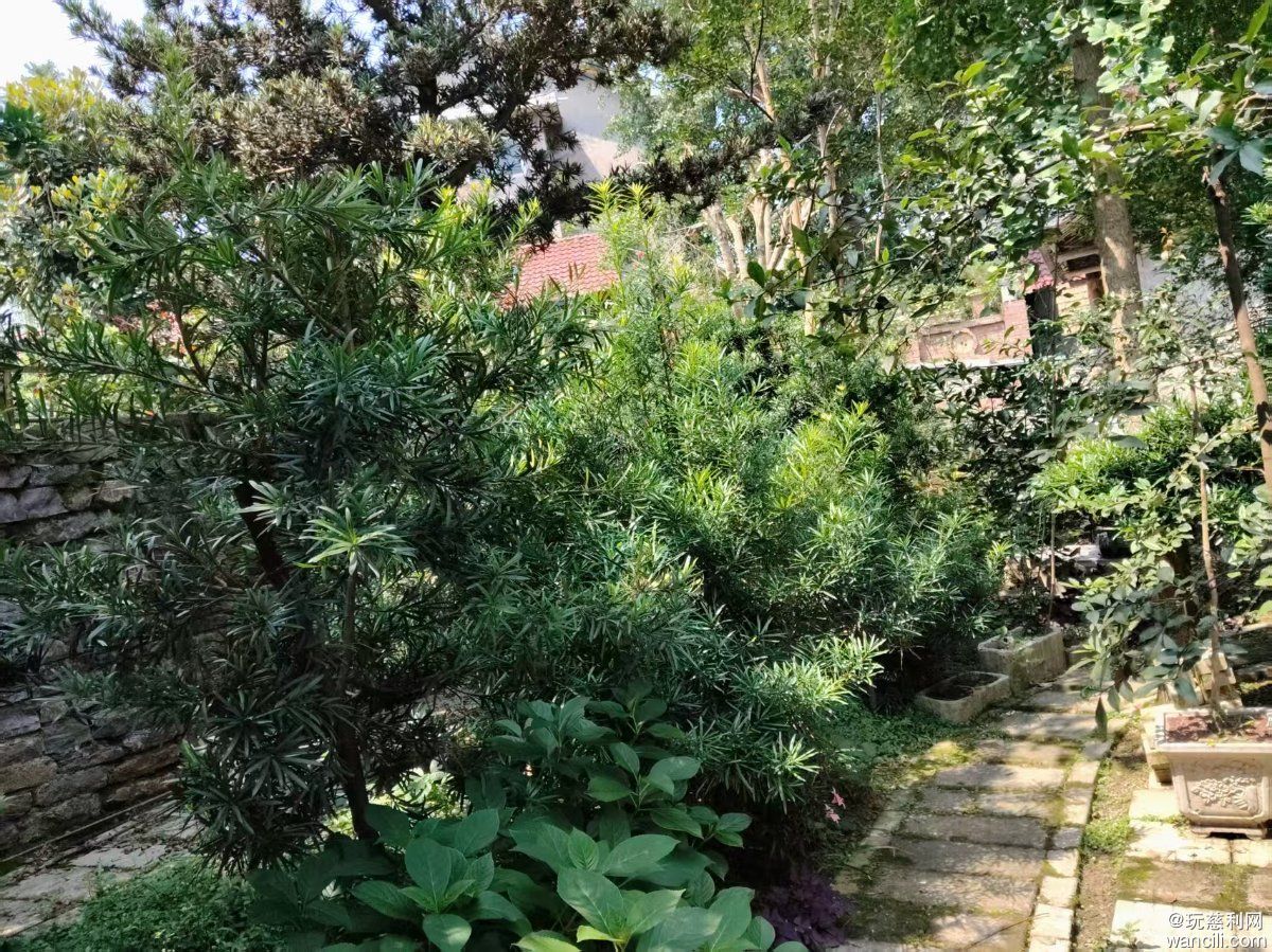 微信图片_20260628204109_7_2186.jpg