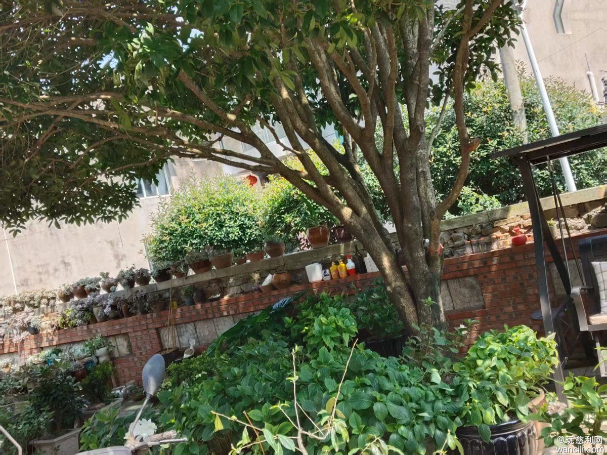 微信图片_20260628204125_8_2186.jpg