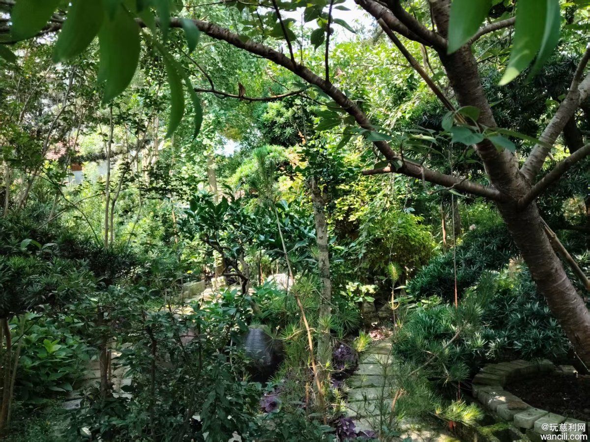 微信图片_20260628205020_10_2186.jpg