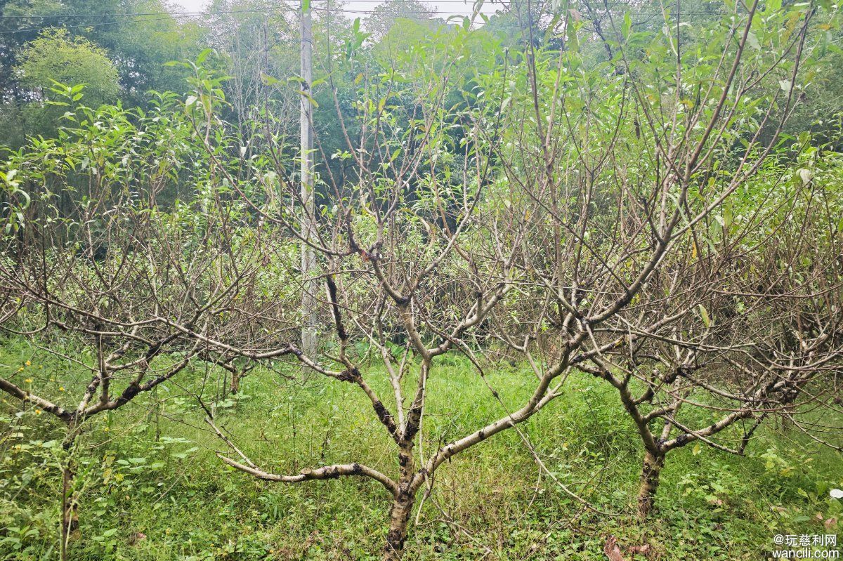 MVIMG_20260930_103307.jpg
