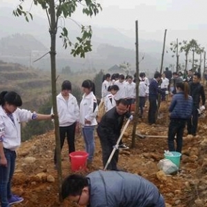 慈利县团委组织开展植树活动