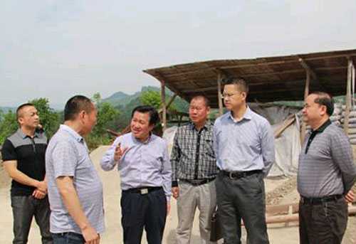 张家界副市长杜芳禄来慈利县江垭镇考察