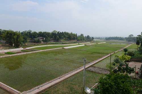 慈利成为湖南省高标准农田建设综改试点县