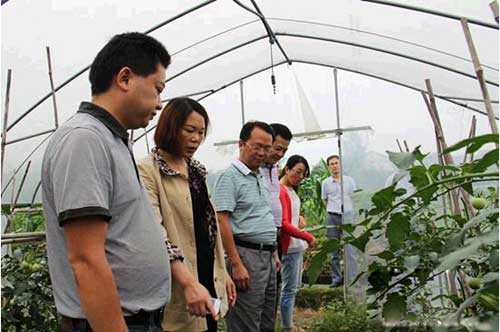 吴名凤来慈利岩泊渡调研民营企业发展