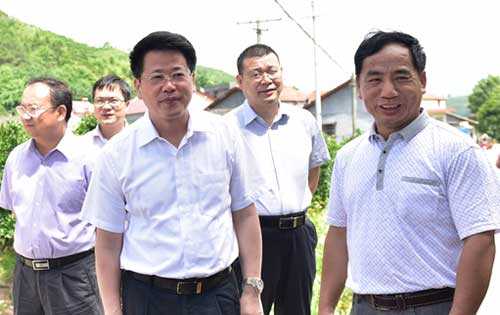 市委书记杨光荣来慈利县督查调研
