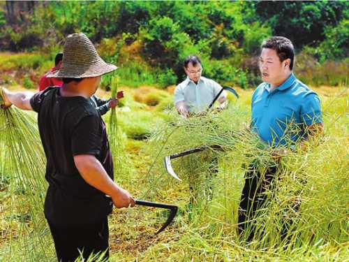 慈利县圆满完成农民负担大检查工作