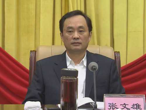 湖南省委常委、宣传部长张文雄涉嫌严重违纪被查