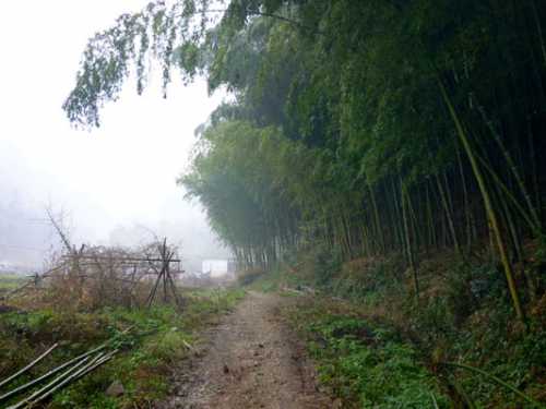 凛冬将至，湖南未来三天多小雨天气