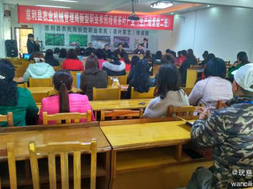 慈利县2017年新型职业农民茶艺培训班开班