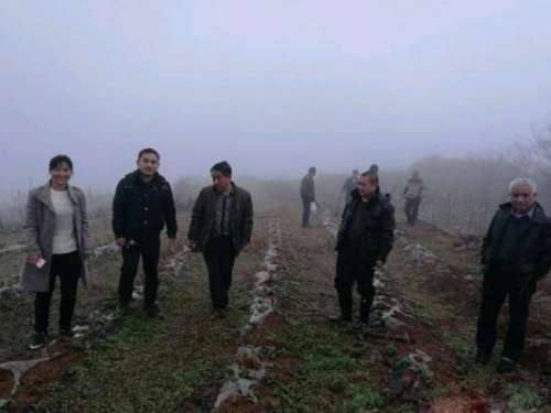 政企合作为慈利县洞溪乡富硒土壤找到致富路