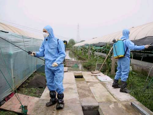 慈利县紧急部署H7N9禽流感专项防控工作