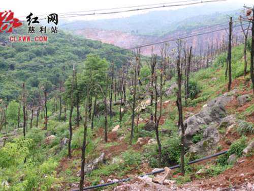慈利县羊角山公园项目投资0.2亿元，占地13.6平方公里
