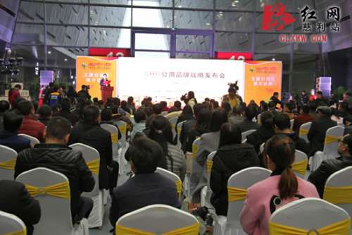 “硒有慈利”公用品牌战略发布会成功举办