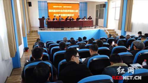 慈利县15家农民专业合作社入驻产业孵化园