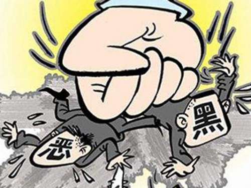 慈利县“集中打击整治突出犯罪斗争”成效显著