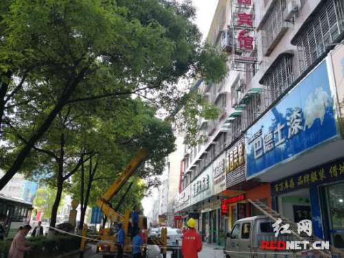 慈利县城管大队集中拆除城区破损广告牌