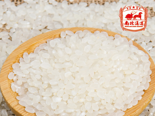 南北通道：节粮，你行动了吗？