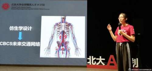 极客教育助力“北京大学全球精英人才A计划”，培养全球精英人才