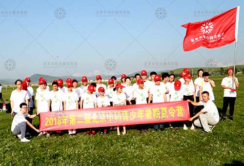 北京中科白癜风医院提出“艺术诊疗”辅助心理治疗