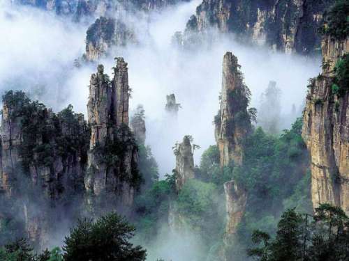 张家界旅游市场将开展“四黑”专项整治行动