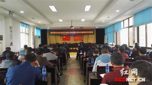 慈利县部署推进产业扶贫杜仲项目建设