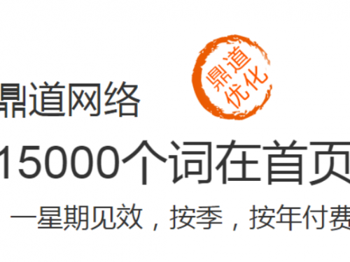 鼎道全网营销（万词霸屏），3-7天关键词快速排名