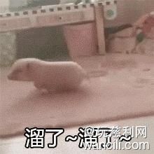 好贷网：高人！他用这种操作贷款150万买了一套房！还没处还！