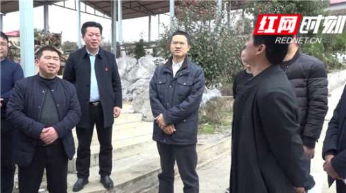 慈利县清查整治“大棚房”446个，面积1222.27亩