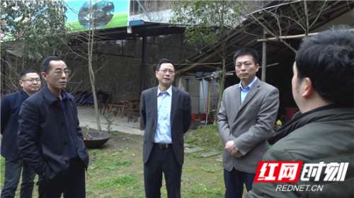 慈利县强力开展“大棚房”问题清理整治工作