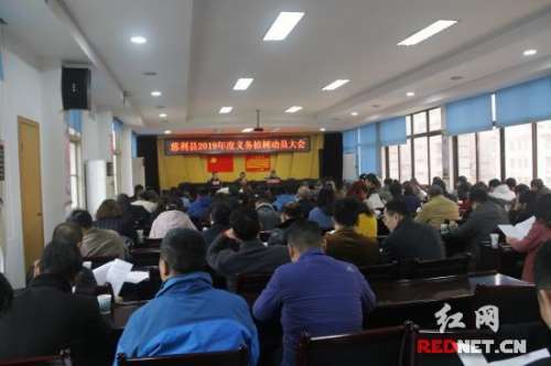 慈利县2019年将义务栽植各种苗木120万株以上