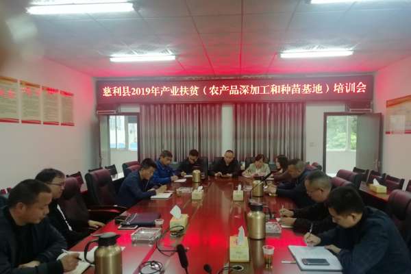 慈利县2019年落实产业扶贫项目480个，安排资金1.67亿元