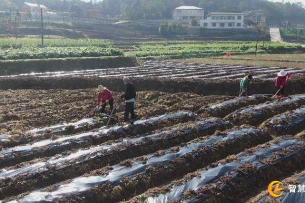 慈利县108家涉农企业全部实现复工复产