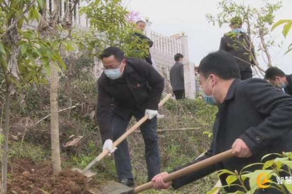 2020年植树节，慈利县在羊角山公园植树34330株