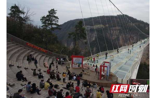 慈利“县长直播带货”在张家界大峡谷玻璃桥完成首秀